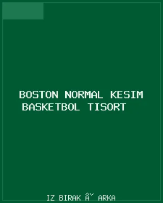 Boston Normal Kesim Basketbol Tişört Arka