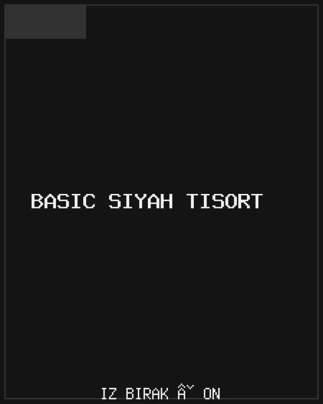 Basic Siyah Tişört