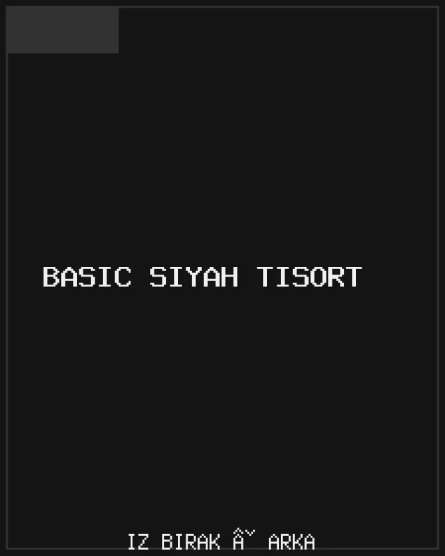 Basic Siyah Tişört