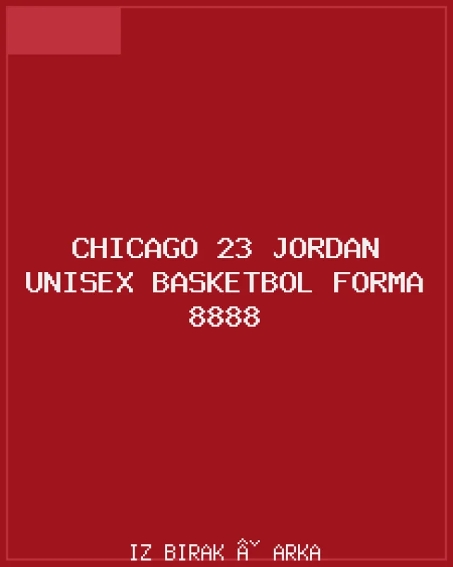 Chicago 23 Jordan Unisex Basketbol Forma 8888