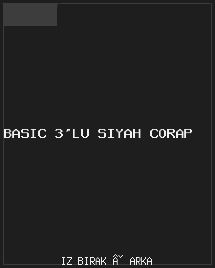 Basic 3'lü Siyah Çorap Arka