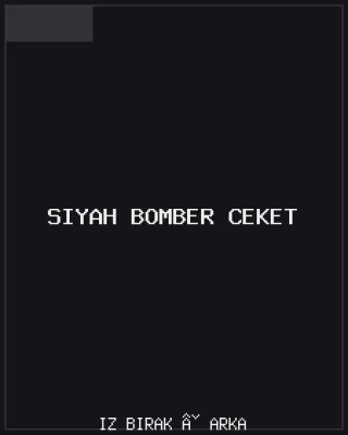 Siyah Bomber Ceket Arka